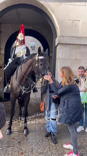 47K views · 1K reactions |  Unbelievable Horse's Reaction to Woman...