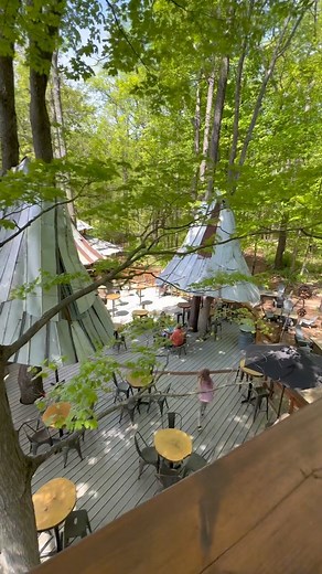 10K views · 223 reactions | 𢡄 Our Beautiful Treehouse Cafe 𢡄 . . . . #blueberrytreehousecafe #buffalosmallbusiness #blueberrytreehousefarm | The Blueberry Treehouse Farm | Facebook