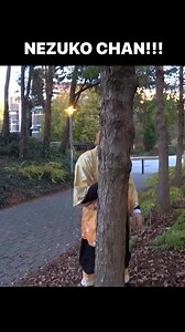 Nezuko chan!!! #anime #demonslayer #zenitsu #kimetsunoyaiba | Wholewheatpete