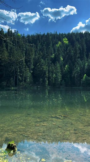 Le lac de la Maix 🧚🏻 📍 Grandfontaine 🗺️8km - 250 D 🕘 2h #hiking #rando #alsace #vosges #lac