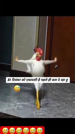 Don’t forget to subscribe and join our little journey!