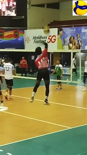 Outside Hitter Net Warm Up 🔥 Perfect Timing & Control