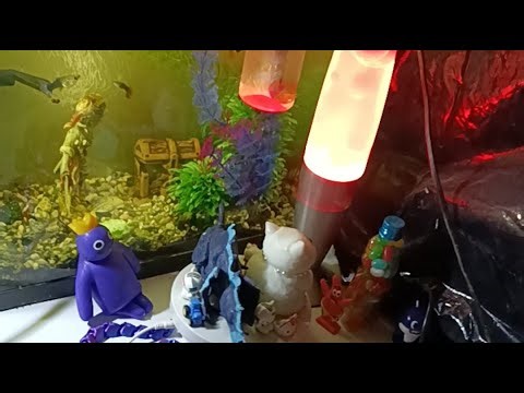 Chocolate ASMR live daily! For your ASMR pleasure, a lava lamp and fish in an ASMR aquarium 🥰🥰🥰