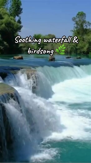 Soothing waterfall & birds singing in nature 💧🌿 Full 8-hour version for sleep & study — link in bio! 👆 #WaterfallASMR #NatureSounds #RelaxingSounds #SleepAid #BirdSong