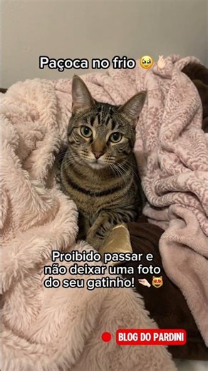 😍😻