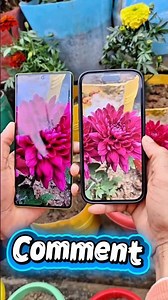 Motorola vs iPhone: Kaun Hai Asli King 2026? 👑📱