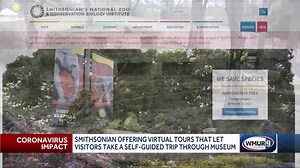 Virtual DC: Smithsonian Institution offering virtual tours of museums and National Zoo