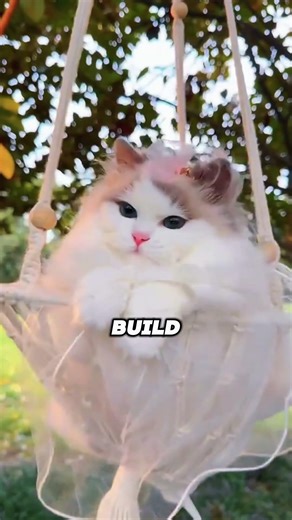 Turkish Angora – The White Empress 👑🐱#TurkishAngora#WhiteCat#CatBreeds#ElegantCats#CatLovers#Shorts