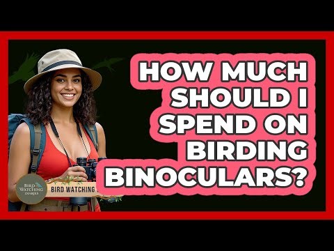 How Much Should I Spend On Birding Binoculars?
