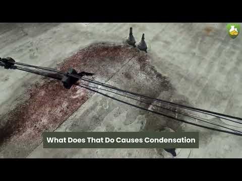 Newport Beach Mold Inspection: Roof Drain Issues & Water Damage Investigation