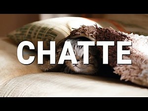 How to Pronounce CHATTE in French (perfectly)