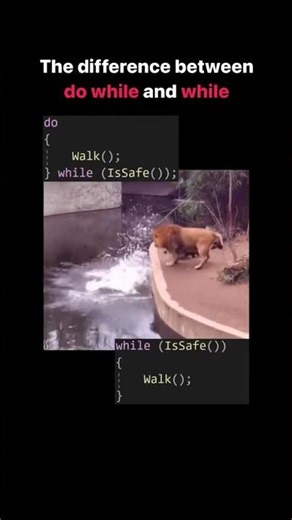 Difference Between 'Do-While' and 'While' Loops! 🔄💻 #shorts #programming