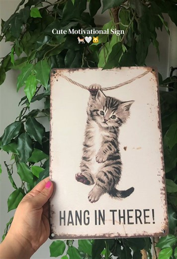 Cute Motivational Sign 🐈🤍🐱 #cutesign #catsign #motivation #homedecor #decor