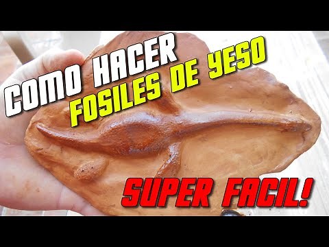 Como hacer fósiles con yeso. Paso x paso