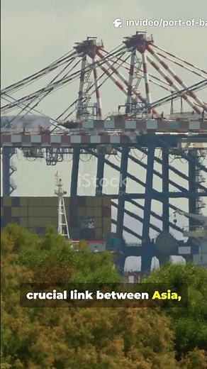 Port of Balboa 🇵🇦 | Panama’s Largest Pacific Port & Canal Gateway ⚓🚢