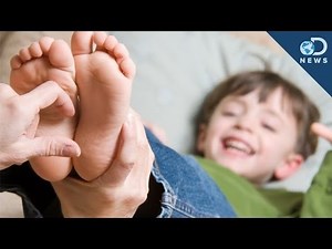 Why We Can't Tickle Ourselves