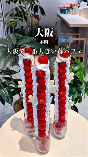 まえすけ｜大阪カフェ・大阪グルメ・関西おでかけデート on Instagram: "くわしくはここをタップ 他のカフェ・グルメ・スポットも！→ @maesuke_cafe 🌟本町に“高さ50cmのいちごタワー”登場🍓シェア必須の巨大パフェ✨【ひかりカフェ】🌟 大阪・本町にある「ひかりカフェ」。 12月17日から、あの名物「いちごの山登りパフェ」がついに復活🍓 高さ約50cmという圧倒的なビジュアルは、まさにエベレスト級の迫力🗻 パフェのサイズは3段階。使用するいちごの量も規格外！ • イチゴの山登りパフェ〜お山〜（いちご1〜2パック） ¥3,600（税込） • イチゴの山登りパフェ〜マウント富士〜（いちご2〜3パック） ¥4,800（税込） • イチゴの山登りパフェ〜エベレスト〜（いちご3〜4パック） ¥6,000（税込） 一番大きなエベレストは、なんと3〜4パックものいちごを使用🤤 中にはクリームやアイス、ヨーグルトなどが詰まっていて、最後まで飽きずに食べられる工夫も✨ 一人で挑戦もいいけど、家族や友人とシェアして楽しく食べるのが特におすすめ！ パフェ以外にも「イチゴのブ