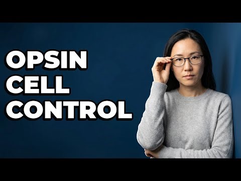 How Are Opsins Utilized To Modulate Brain Cells?