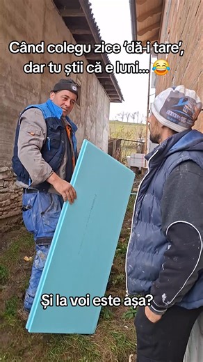 Coleg: ‘dă-i tare’ Eu: ‘Spune-i la șef să fie fericit că am venit la lucru, că azi e luni și nici iarba nu crește!’ #HumorLaJob #LuniLaBirou #GlumePeȘantier #POV #WorkMood Kamicazee Luk | Barsan Hori