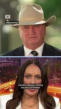 Barnaby Joyce on why he defected to One Nation | ABC NEWS