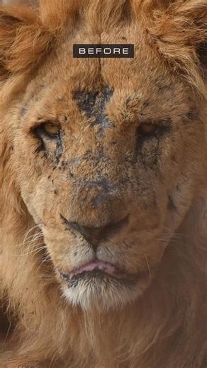 7K views · 478 reactions | Photo Editing Tips ↓ • Shoot & Edit ✍...