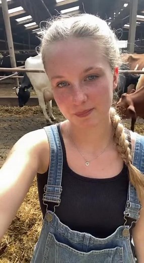 Exploring German Culture: Traditions and Lifestyle