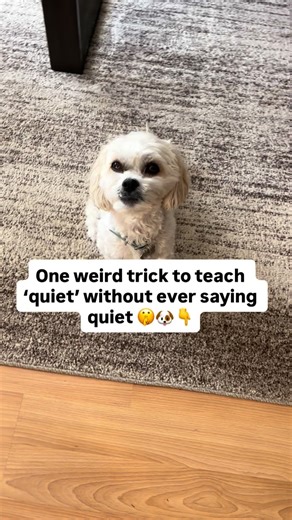 How To Train Your Dog | Dog Training Tips on Instagram: "Forget yelling “QUIET!” — try this 👇 🐾 The “Reward the Pause” Trick: Don’t wait for full silence. Reward the micro pause between barks. Bark… pause → “YES.” Bark… pause → treat. Within days, those pauses get longer… Until your dog learns: Quiet → reward Barking → nothing 👉 Comment “BARK” for the link to my ESEE 2.0 system that fixes barking the calm, easy way."