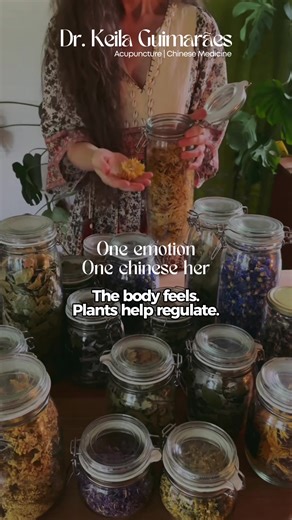 Your emotions are not a weakness. They are the body’s language. In Chinese Medicine, each emotional state is connected to specific energetic patterns. Herbs are used to restore movement, nourishment, and balance within the system. This isn’t about silencing what you feel. It’s about supporting the body as you move through it. Save this Reel to return whenever you need more presence and softness 🤍 #chinesemedicine #emotionalhealth #selfcarepractice #chineseherbalmedicine #emotionalbalance