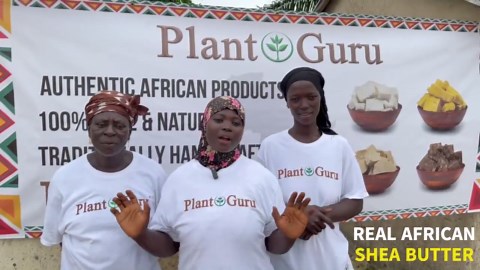Raw African Shea Butter Organic Unrefined Virgin IVORY 100% Pure Natural From Ghana. Great for Skin, Body, Face, Hair Bulk Wholesale - Etsy