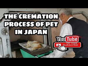 #CremationOfMyLovelyCatTetsu #私の素敵な猫の火葬 THE CREMATION PROCESS OF PET IN JAPAN