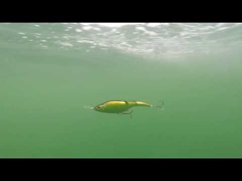 How Lures Swim Sebile Magic Swimmer