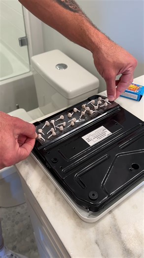 65K views · 384 reactions | He scared his GF by thinking she broke the scale | Love | Facebook