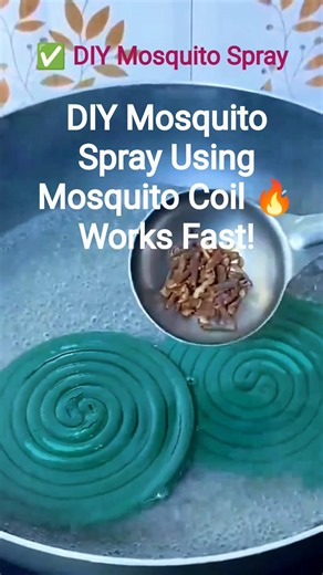 😱 Mosquito Spray at Home Using Coil! Easy Kitchen Hack 💨Simple kitchen ingredients + mosquito coil.