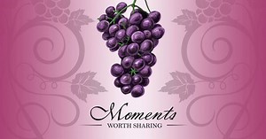 For your chance to WIN a case of #JiveMoments, tell us how many grape berries you see. T&Cs Apply. | Jive