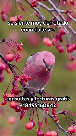 Se siente muy derrotado cuando tebe 🔮🕯️ #sabiasque #lecturacartas #tarot #amor #frases #horoscopo