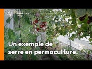 La minute permaculture #22 : Un exemple de serre en permaculture