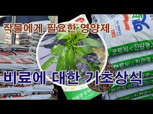 작물에게 필요한 여러 영양제 비료에 대한 기초상식(비료, 퇴비, 유박, 무기질비료, 유기질 비료, 화학비료, 금비, 영양제, 영양소, 원소, 필수 영양소, 이온화, 작물 성장)