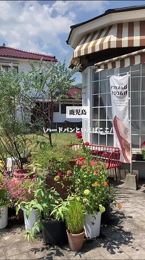 定休日等詳細はこちら👇 超おすすめ！ハード系パン屋🥐 鹿児島のパン屋探すならここ👉@yuma_kagobakery 姶良にある人気のパン屋さん☺️ お客さんが次から次へとパンを買いに来る✨ 約60種類のパンが並ぶんだけど特にハードパンがおすすめ！ハードパンだけでも種類が色々あるの👀 個人的には甘い系のパンもおすすめ💓 イートインもあるよ！ 保存して行ってみてね💓 -———————————— 【店舗情報】 🥐bakery hacos.姶良本店 📍鹿児島県姶良市長池町28-1 🚗JR姶良駅から車で約5分 🕑10:00〜18:00 定休日 月曜日 🅿️駐車場あり @hacos.jp -———————————— こんにちは！鹿児島パン屋情報発信中のゆまサリです🙌 このアカウントでは ▶人気～穴場パン屋情報提供 ▶お店の雰囲気、おすすめパンなどわかりやすく伝えていきます！ 「このお店行ってみたい🙌！」と思ったら保存してね！ いいね、コメントしてもらえるとすごく嬉しいです🥰 お気軽にＤＭ✉️もしてください！ 他の投稿はこちらから！ @yuma_kagobakery #パ