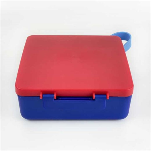 Portable Lunch Box Compartments Fresh-Keeping Refrigerated Fruit Box Holder Handle Food Grade Storage Container Preservation