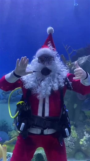 The holiday fun doesn’t stop after Christmas! Join us for holiday activities including crafts, face painting, games, treats, holiday light show, s’mores pits, Diving Santa, Princess holiday shows and so much more TONIGHT, December 27th & the 28th from 4-8pm! December 27th & 28th 4pm – Diving Santa* (Aquarium) 5-8pm – Crafts & Face Painting (Pavilion) 5pm – Diving Santa* (Aquarium) 5:30pm – Princess Holiday Show (Pavilion Stage) 6pm – Diving Santa* (Aquarium) 7pm – Diving Santa* (Aquarium) 7:30pm