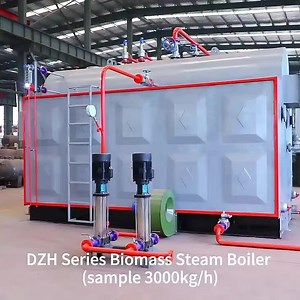 #biomass steam boiler #Steam Boilers #DZH biomass steam boiler | Johnson Chen