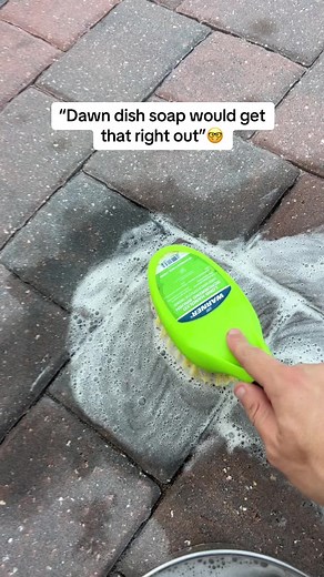 Debunking the Myth: Dawn Dish Soap & Trans Fluid Stain Removal