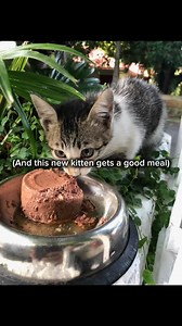 Rural Rising Philippines on Reels