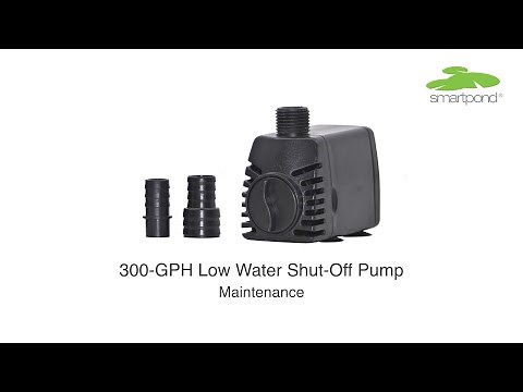 300 GPH Fountain Pump with Low Water Shut-off — Maintenance