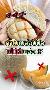 ทำไมเมล่อนปังถึงไม่มีไส้เมล่อน!? | ข่าวคุๆ