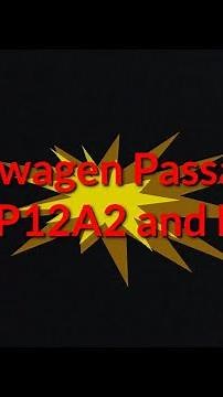 Volkswagen Passat 3.6 Code: P12A2 and P0507