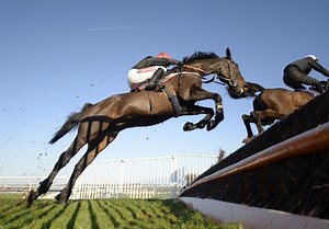 'Massive step in right direction' for Sprinter Sacre - Horse & Hound
