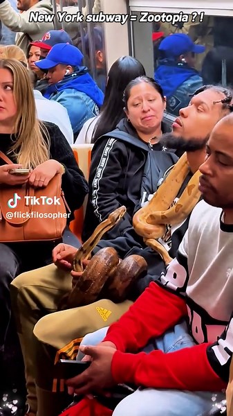 New York subway = Zootopia?! #funny #nyc #funnyvideos #subway #funnymoments