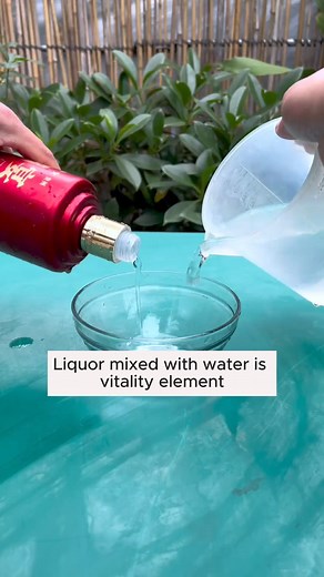 7K views · 83 reactions | Tips for growing plants at home #backyardgardening #gardeninglife #vegetablegardening #vegetablegarden #gardeningtips #gardeninglove #organicgardening #gardensofinstagram #gardenideas #urbangardening #gardeningistherapy #gardeninggoals #homegardening #gardeninspiration #lovegardening #gardeningisfun #countrygarden #gardeningmakemehappy #veggiegarden #happygardening | Gardening Ideas | Facebook