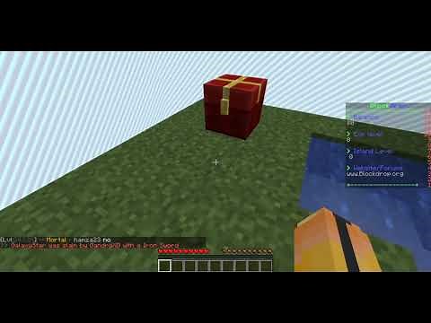 [BlockDrop]Skyblock Guide